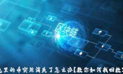 TP钱包里的币突然消失了怎