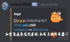加密货币牛市下半场：机