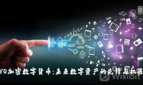YO加密数字货币：未来数字资产的先锋与机遇