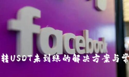 TP钱包跨链转USDT未到账的解决方案与常见问题分析