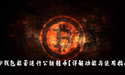TP钱包能否进行公链转币？详解功能与使用指南