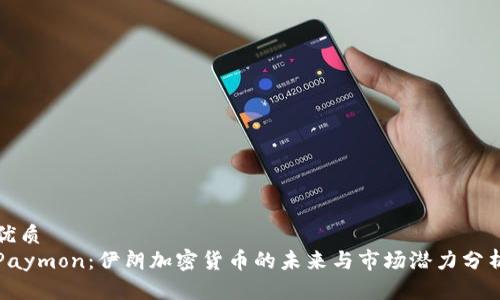 优质
Paymon：伊朗加密货币的未来与市场潜力分析