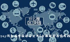 TOpay钱包在中国能否使用？