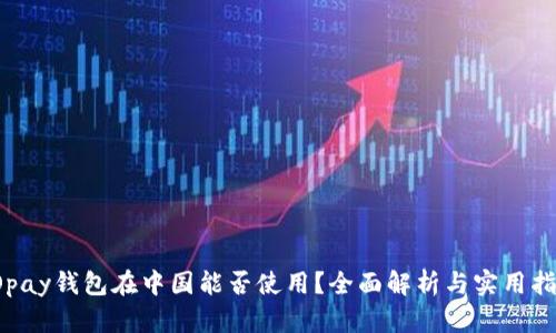 TOpay钱包在中国能否使用？全面解析与实用指南