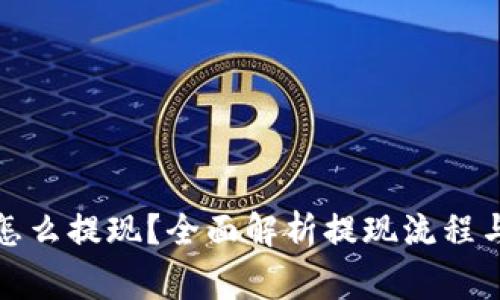 数字钱包怎么提现？全面解析提现流程与注意事项