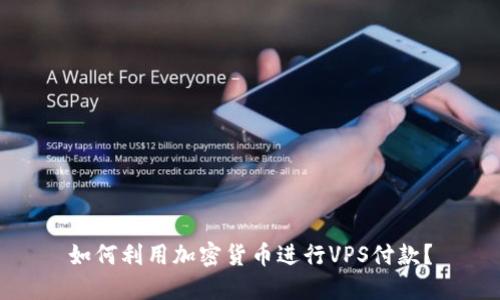 如何利用加密货币进行VPS付款？