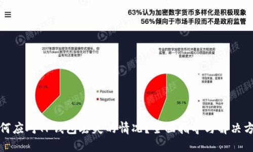 如何应对TP钱包丢失的情况？全面指导与解决方案