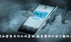解密加密货币行业的真相