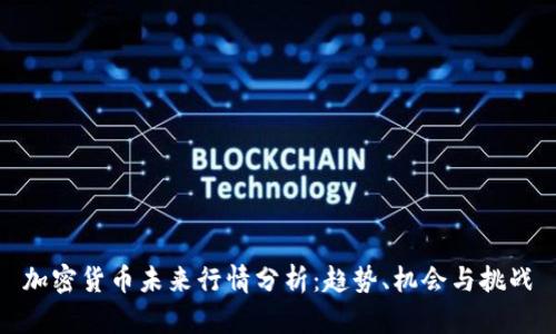 加密货币未来行情分析：趋势、机会与挑战