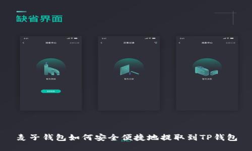 麦子钱包如何安全便捷地提取到TP钱包