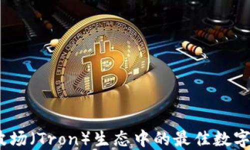 
TP钱包：了解波场（Tron）生态中的最佳数字资产管理工具