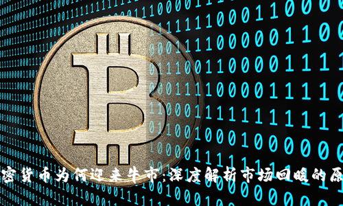 加密货币为何迎来牛市：深度解析市场回暖的原因
