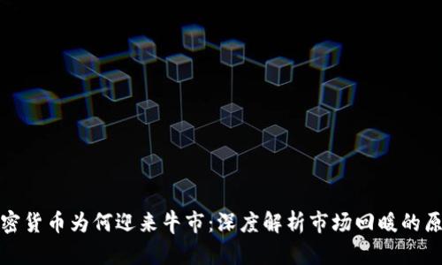 加密货币为何迎来牛市：深度解析市场回暖的原因