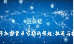 联邦加密货币市场的崛起