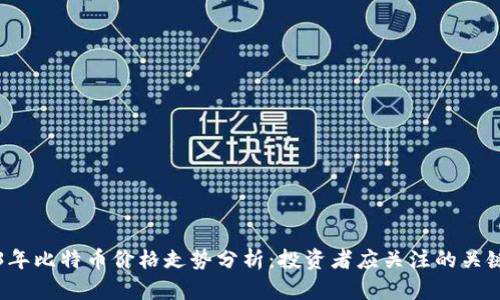 2023年比特币价格走势分析：投资者应关注的关键因素