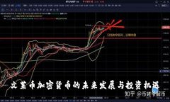 文莱币加密货币的未来发