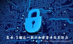 鼠币：了解这一新兴加密