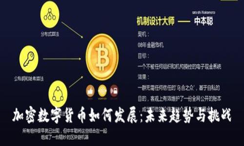 加密数字货币如何发展：未来趋势与挑战