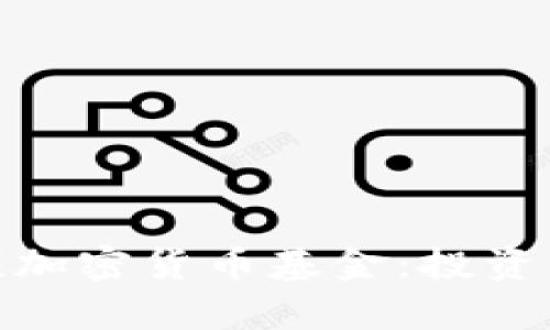 全面解析视频加密货币基金：投资新机遇与风险