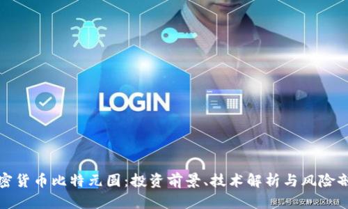 加密货币比特元圆：投资前景、技术解析与风险剖析
