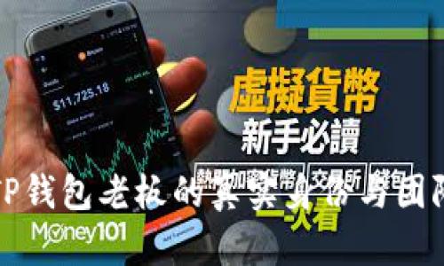 揭秘TP钱包老板的真实身份与团队背景