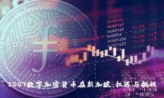SOOT数字加密货币在新加坡