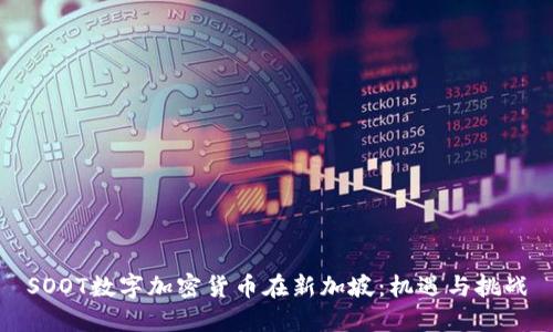 SOOT数字加密货币在新加坡：机遇与挑战
