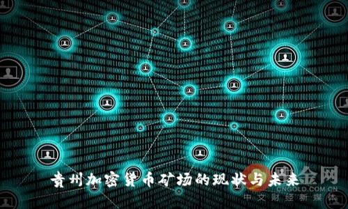 贵州加密货币矿场的现状与未来