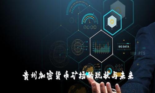 贵州加密货币矿场的现状与未来