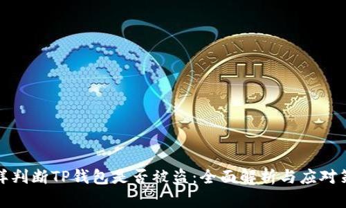 怎样判断TP钱包是否被盗：全面解析与应对策略