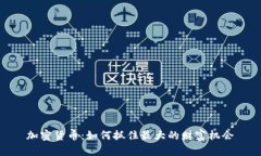 加密货币：如何抓住最大