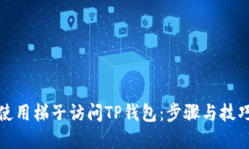 如何使用梯子访问TP钱包：步骤与技巧详解