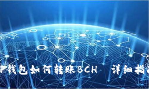 TP钱包如何转账BCH—详细指南