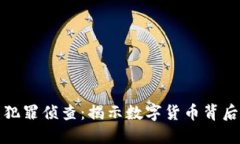 加密货币犯罪侦查：揭示