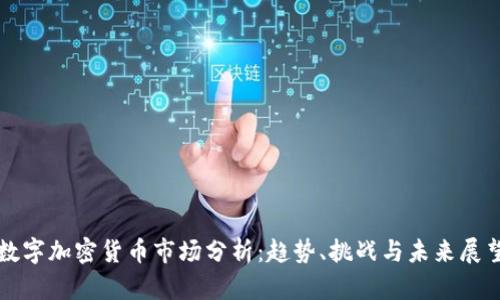 数字加密货币市场分析：趋势、挑战与未来展望