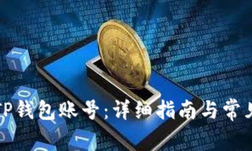 如何找回TP钱包账号：详细指南与常见问题解答