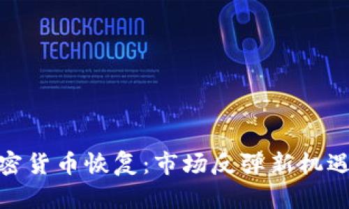 数字加密货币恢复：市场反弹新机遇与策略