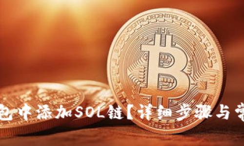 如何在TP钱包中添加SOL链？详细步骤与常见问题解答