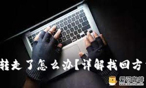 TP钱包U币被转走了怎么办？详解找回方法及预防措施