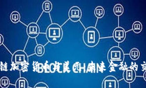 区块链加密货币与美元：未来金融的交汇点