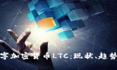 全面解析数字加密货币L
