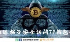 如何通过梯子安全访问T