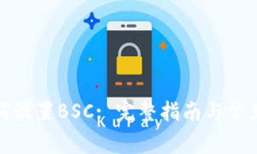 tp钱包如何设置BSC: 完整指南与常见问题解答