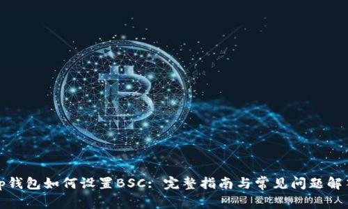 tp钱包如何设置BSC: 完整指南与常见问题解答