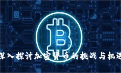 深入探讨加密货币的挑战