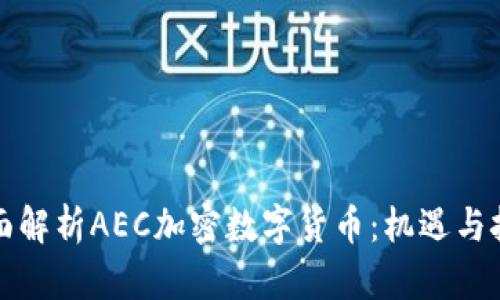 全面解析AEC加密数字货币：机遇与挑战