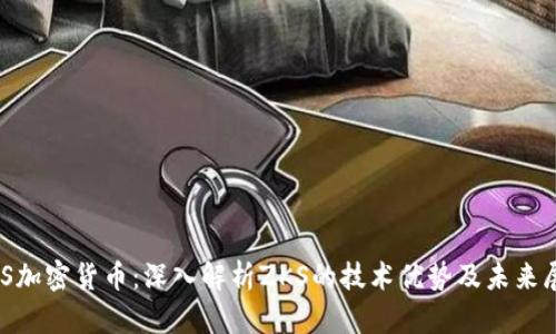 ZKS加密货币：深入解析ZKS的技术优势及未来展望