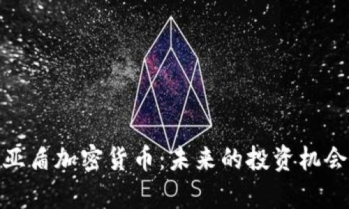 : 深入解析亚盾加密货币：未来的投资机会与市场前景