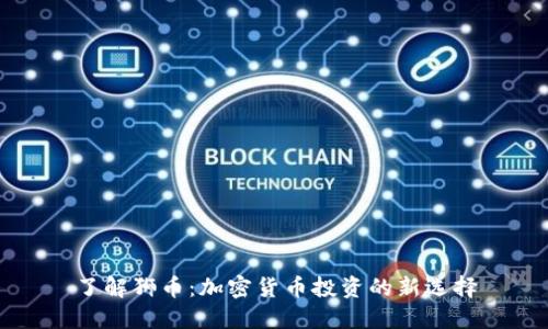 了解狮币：加密货币投资的新选择