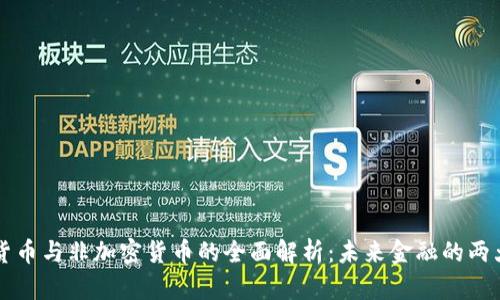 虚拟货币与非加密货币的全面解析：未来金融的两大支柱